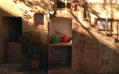 Petits i grans supervivents: La mort d’un dels progenitors en les primeres etapes de vida